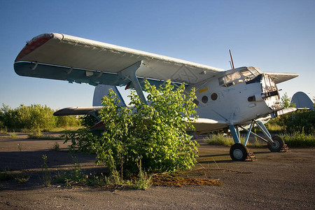 旧苏联飞机安东诺图片