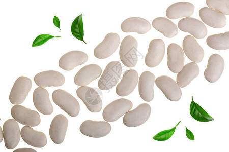 白肾豆装饰的绿色叶子与白色背图片
