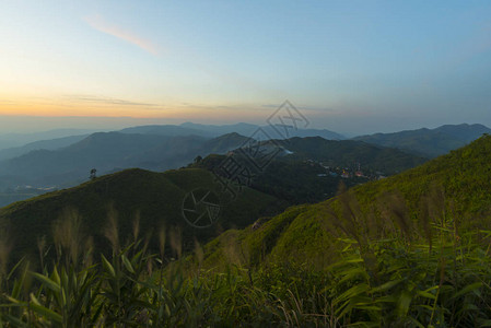 热带森林景观日落景观图片