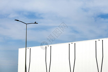 用LED和鸟儿的白色容器大型仓库对图片