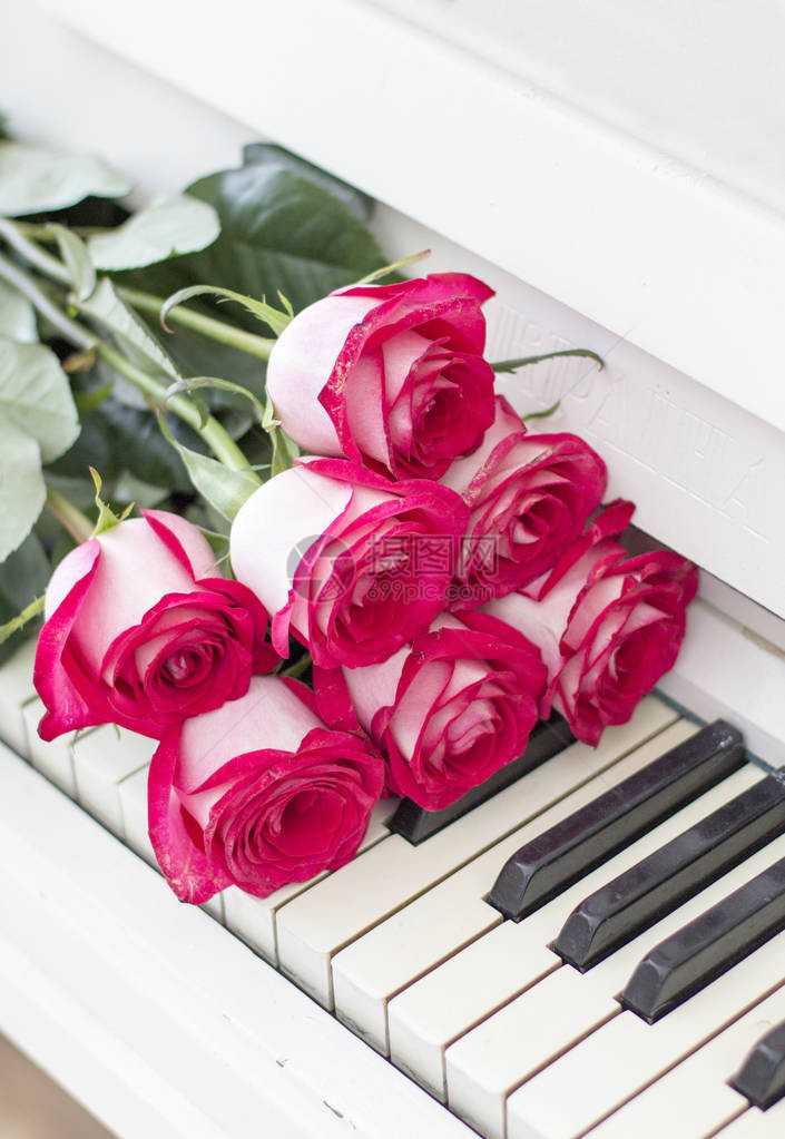 躺在钢琴键上的粉红玫瑰花束的特写图片