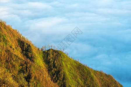 山景坡云上岭上树图片