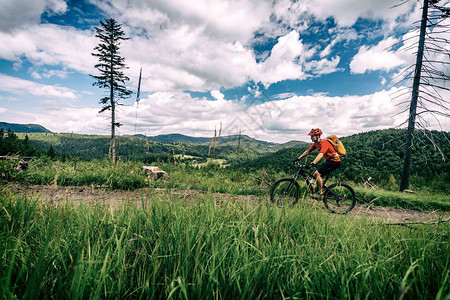山地自行车男子在夏季励志景观中骑自行车图片