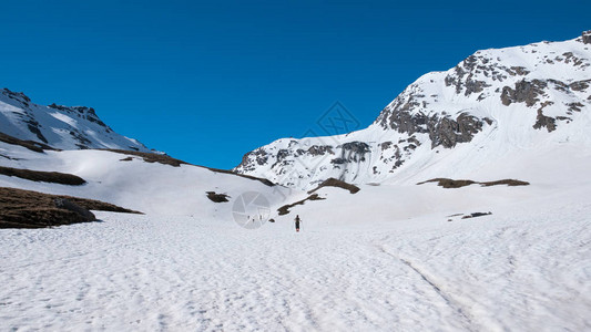 在雪坡上滑雪图片