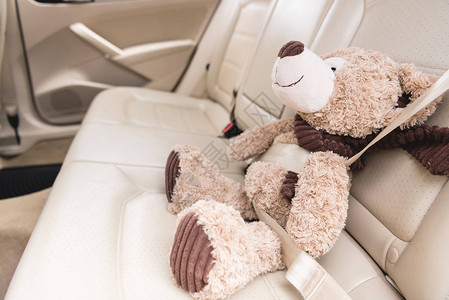 车内系好安全带的泰迪熊近景图片