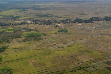 柬埔寨西部暹粒市附近的风景和稻田以图片
