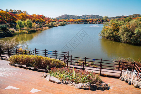 韩国仁川大公园的秋天枫树和湖泊图片