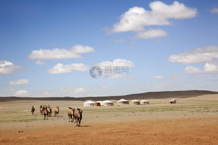 Gobi沙漠图片