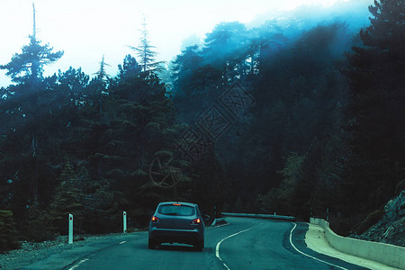 晚上在山区森林地区的道路和树顶的雾图片