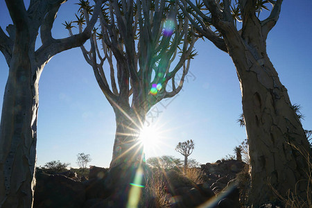 Keetmanshooop的纳米图片