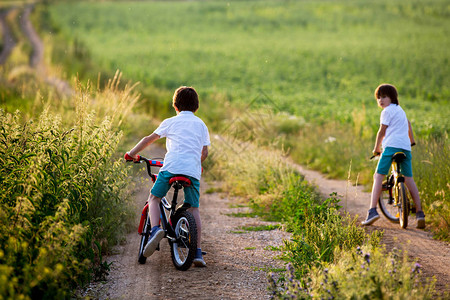 体育儿童男孩兄弟和男孩在日落时一起乘自行车骑农村图片