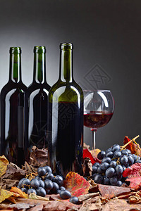 红葡萄酒葡萄和干藤叶图片