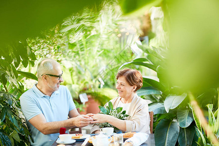 老人在绿色植物中的橘园或家庭花园里用浪漫的晚餐给图片