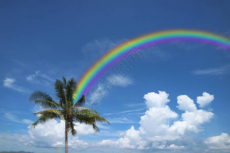 白云在天空和椰子树上概念上帝保佑运气图片