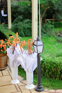 雨伞挂在附近园艺和雨水的概念图片