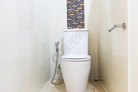 现代设计家用浴室厕所和洗手间中的白椰图片