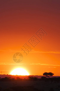 日落肯尼亚MasaiMar图片