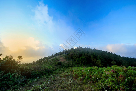 云在山顶上的天空图片