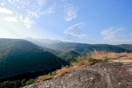 高山和森林的景色图片