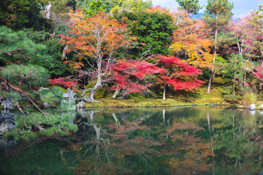 秋天风景秋天公园日本图片