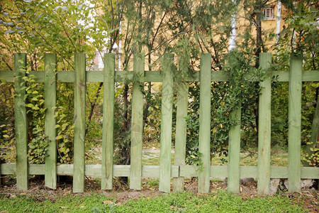 绿色花园上的木栅栏图片