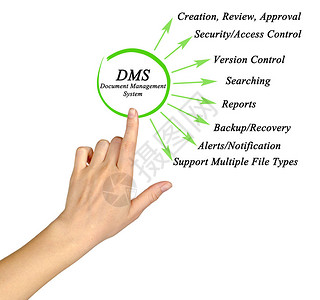 文件管理系统DMS图片