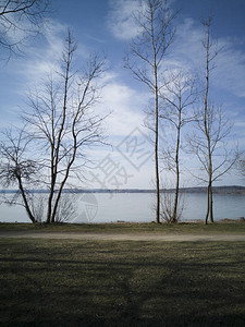 湖边的春树和草坪树有图片