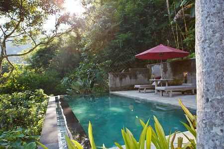 丛林热带泳池别墅图片