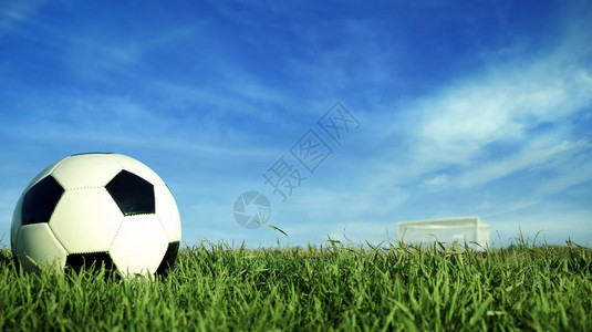 绿色草地目标球场上的现实橄榄球图片