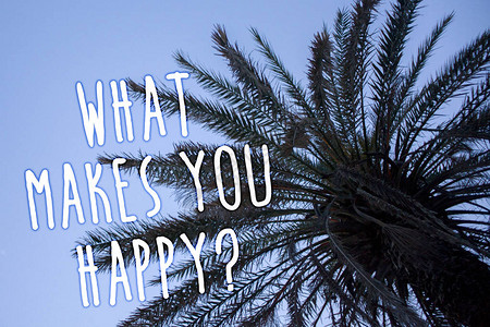 让帝豪伴你归家手写文本是什么让你开心的问题概念意义幸福伴随着爱和积极的生活高大的棕榈树蓝天思想信息背景