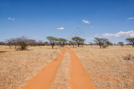 穿过南部非洲草原荒野的红沙图片