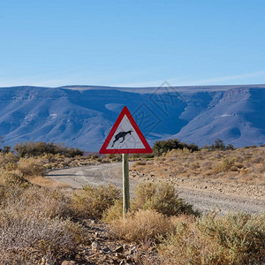 路边标志警告南部非洲公路上可能出现野图片