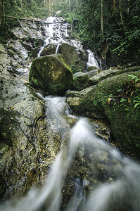 绿色自然林环绕着美丽的热带瀑布流图片