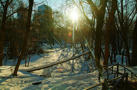 莫斯科的冬日西南郊图片
