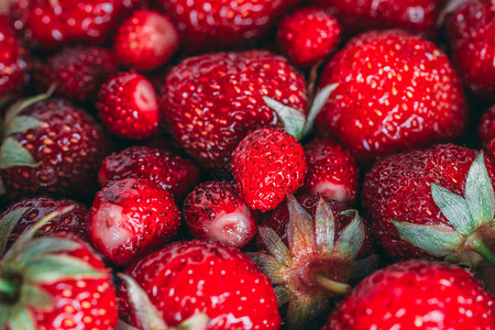草莓和野草莓宏特写纹理图片