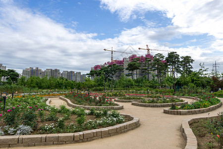 南朝鲜州汉城玫瑰花园纯净的arbo图片