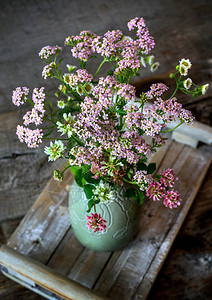 木桌上的夏日野花瓶里的一图片