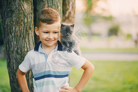 小男孩和小猫咪在夏日公园玩耍图片