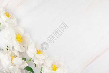 大理石背景上绽放着美丽的白牡丹花背景图片