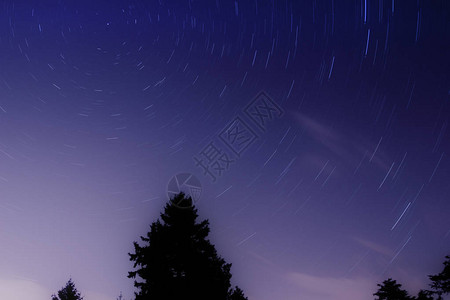 森林黑色光影上的圆星环足迹夜空天背景图片