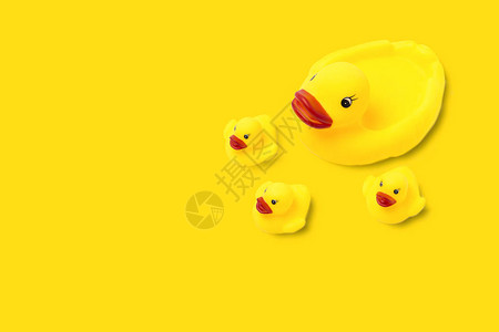 黄色背景上的黄色鸭妈和小鸭子橡胶玩具图片