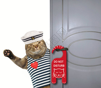 猫水手关上了门把手上挂着请勿打扰的牌背景图片