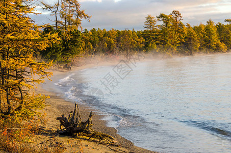 湖边的清晨雾日出射图片