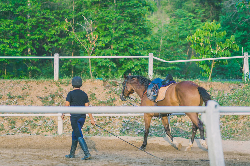 女教练正在训练年轻马在骑马学图片