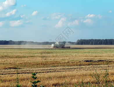 收割机在7月从田间取出小麦图片