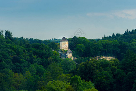 树林间的城堡塔图片