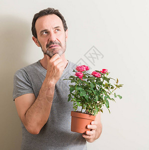 高大男子拿着玫瑰花在锅上严肃的面孔思考问题图片