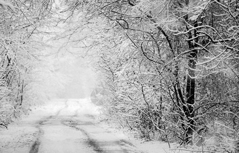 白雪皑的冰冻冬季道路雪地上的轮胎痕迹雨夹雪后的森林单色冬季森林景观冬天在乡间小路上开车文背景图片