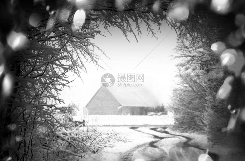 白雪皑的冰冻冬季道路雪地上的轮胎痕迹积雪覆盖了冬天的树木和道路黑色和白色的冬天冬夜在乡图片