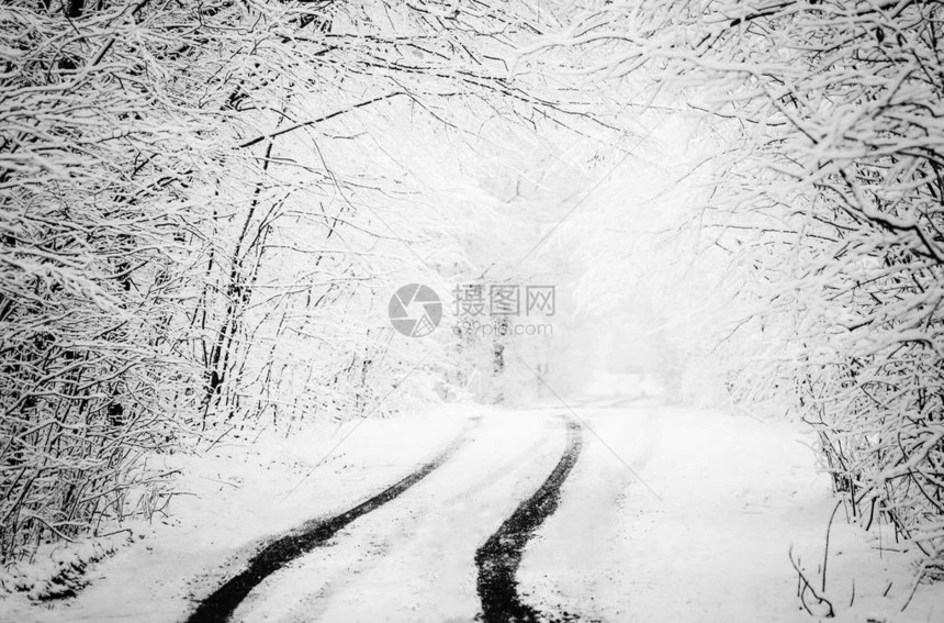 白雪皑的冰冻冬季道路雪地上的轮胎痕迹雨夹雪后的森林单色图片